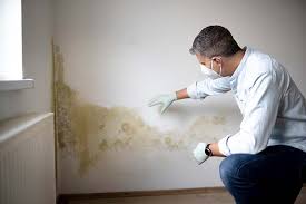 Best Commercial Mold Inspection  in Stony Prairie, OH